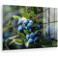 MuchoWow Glasschilderij 120x80 cm - Schilderij acrylglas - Blauwe bessen - Dauwdruppels - Natuurlijk licht - Foto op glas - Muurdecoratie woonkamer - Wanddecoratie slaapkamer - Schilderijen