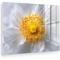 MuchoWow Glasschilderij 160x120 cm - Schilderij acrylglas - Wit - Bloem - Elegant - Foto op glas - Muurdecoratie woonkamer - Wanddecoratie slaapkamer - Schilderijen