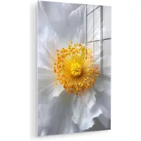 MuchoWow Glasschilderij 120x180 cm - Schilderij acrylglas - Wit - Bloem - Elegant - Foto op glas - Muurdecoratie woonkamer - Wanddecoratie slaapkamer - Schilderijen