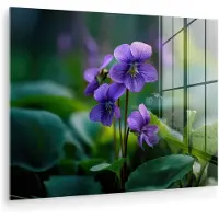 MuchoWow Glasschilderij 160x120 cm - Schilderij acrylglas - Viooltjes - Paars - Bloem - Bladeren - Foto op glas - Muurdecoratie woonkamer - Wanddecoratie slaapkamer - Schilderijen