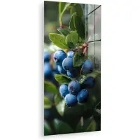 MuchoWow Glasschilderij 80x160 cm - Schilderij acrylglas - Blauwe bessen - Dauwdruppels - Natuurlijk licht - Foto op glas - Muurdecoratie woonkamer - Wanddecoratie slaapkamer - Schilderijen
