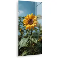 MuchoWow Glasschilderij 80x160 cm - Schilderij acrylglas - Zonnebloemen - Helderblauwer lucht - Gras - Foto op glas - Muurdecoratie woonkamer - Wanddecoratie slaapkamer - Schilderijen