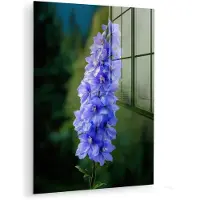 MuchoWow Glasschilderij 60x80 cm - Schilderij acrylglas - Bloemen - Blauw - Dennenboom - Foto op glas - Muurdecoratie woonkamer - Wanddecoratie slaapkamer - Schilderijen