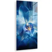 MuchoWow Glasschilderij 80x160 cm - Schilderij acrylglas - Blauw - Orchidee - Elegeant - Foto op glas - Muurdecoratie woonkamer - Wanddecoratie slaapkamer - Schilderijen