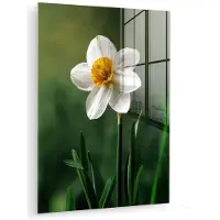 MuchoWow Glasschilderij 120x160 cm - Schilderij acrylglas - Narcis - Bloem - Wit - Grassprieten - Foto op glas - Muurdecoratie woonkamer - Wanddecoratie slaapkamer - Schilderijen