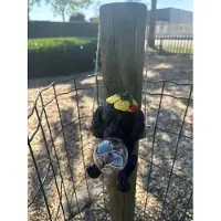 Impuls Polyresin solarlamp "Hangende hond met bloem + lieveheersbeestje" - zwart - met 5 warm witte LEDs - hang model - hoogte totaal 31 x 17 x 12 cm - Tuindecoratie - Tuinverlichting