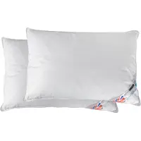 Homescapes Hoofdkussens 50x75 cm – Set van 2 – Medium Zacht – Supermicrovezel – Hypoallergeen – Voor Zijslaper & Nekklachten