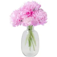 DK Design Bloemenvaas Mira - fles vaas - transparant glas - D21 x H37 cm - Vazen