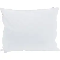 vidaXL Hoofdkussen 2 st 50 x 75 cm Veer Wit