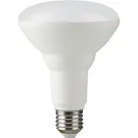 SPL | LED lamp | Grote fitting E27 | Reflectorlamp | Translucent | 11W | Dimbaar