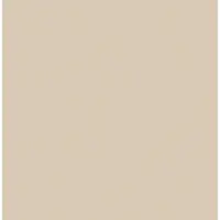 DecoMode Vliesbehang Pure Lines - Beige - 10m X 52cm