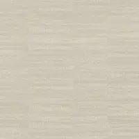 Overig Vliesbehang Jacquard Lijnen - Zand - 10,05m X 52cm