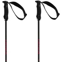 Völkl Rentastick Carbon Stokken