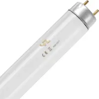 Schiefer G13 T8 TL-Buis | 18W 6500K 1250lm 865 | 604mm