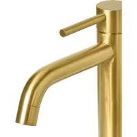 Beliani SALINAS - Enkele wastafelkraan - Goud - 18 cm - Messing