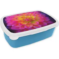 MuchoWow Broodtrommel Blauw - Lunchbox Roze - Dahlia - Kleurrijk - Brooddoos 18x12x6 cm - Brood lunch box - Broodtrommels voor kinderen en volwassenen