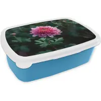 MuchoWow Broodtrommel Blauw - Lunchbox Blad - Chrysant - Roze - Schaduw - Brooddoos 18x12x6 cm - Brood lunch box - Broodtrommels voor kinderen en volwassenen
