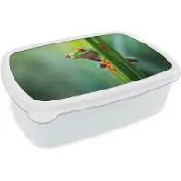 MuchoWow Broodtrommel Wit - Lunchbox Groene kikker - Nieuwsgierig - Gras - Brooddoos 18x12x6 cm - Brood lunch box - Broodtrommels voor kinderen en volwassenen