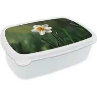 MuchoWow Broodtrommel Wit - Lunchbox Narcis - Bloem - Wit - Grassprieten - Brooddoos 18x12x6 cm - Brood lunch box - Broodtrommels voor kinderen en volwassenen