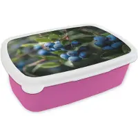 MuchoWow Broodtrommel Roze - Lunchbox Blauwe bessen - Dauwdruppels - Natuurlijk licht - Brooddoos 18x12x6 cm - Brood lunch box - Broodtrommels voor kinderen en volwassenen