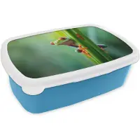 MuchoWow Broodtrommel Blauw - Lunchbox Groene kikker - Nieuwsgierig - Gras - Brooddoos 18x12x6 cm - Brood lunch box - Broodtrommels voor kinderen en volwassenen