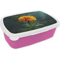 MuchoWow Broodtrommel Roze - Lunchbox Bloemblaadjes - Afrikaan - Oranje - Wazig - Brooddoos 18x12x6 cm - Brood lunch box - Broodtrommels voor kinderen en volwassenen