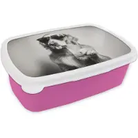 MuchoWow Broodtrommel Roze - Lunchbox Golden retriever - Hond - Zonnebril - Gkas - Brooddoos 18x12x6 cm - Brood lunch box - Broodtrommels voor kinderen en volwassenen