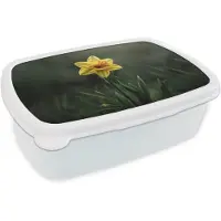 MuchoWow Broodtrommel Wit - Lunchbox Bloem - Narcis - Gras - Geel - Brooddoos 18x12x6 cm - Brood lunch box - Broodtrommels voor kinderen en volwassenen