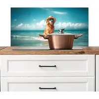 KitchenYeah Spatscherm keuken 80x40 cm - Kookplaat achterwand Zeewater - Hond - Golden retriever - Zonnebril - Muurbeschermer - Spatwand fornuis - Hoogwaardig aluminium