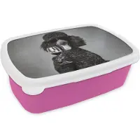 MuchoWow Broodtrommel Roze - Lunchbox Hond - Krullen - Zonnebril - Wijn - Brooddoos 18x12x6 cm - Brood lunch box - Broodtrommels voor kinderen en volwassenen