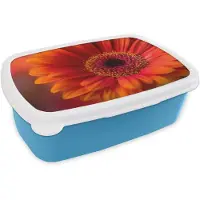 MuchoWow Broodtrommel Blauw - Lunchbox Oranje - Gerbera - Intens - Brooddoos 18x12x6 cm - Brood lunch box - Broodtrommels voor kinderen en volwassenen
