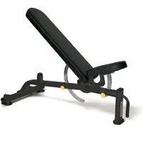 Toorx Professional Verstelbare Trainingsbank WBX-B2200