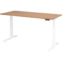 Hjh OFFICE PRO XDKB 19 W | 180x80 180x80 Elektrisch in hoogte verstelbaar. - 180 x 80 Walnoot Tafelhoogte I Elektrisch in hoogte verstelbaar