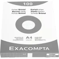 Exacompta Systeemkaart 210 x 297 mm Geruit Wit