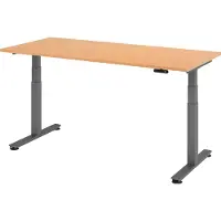 Hammerbacher XDSM Beuken