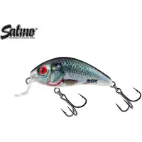 Salmo Rattlin' Hornet Shallow Floating Holographic Real Dace 4,5 cm 3 g Wobbler