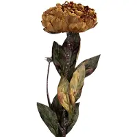 Clayre & Eef Kunstbloem 10x10x65 cm Geel Kunststof