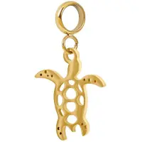Ixxxi Connect Bedel Turtle | Goud