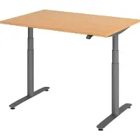 Hammerbacher Bureau XDLR elektrisch in hoogte verstelbaar 120 x 80 Beuken - Grafiet