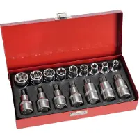 Kippers Rijssen Spline en torx doppenset 1/2" 16 delig