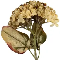 Clayre & Eef Kunstbloem 15x15x47 cm Beige Kunststof