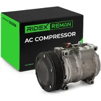 RIDEX 447K1123R Aircopomp