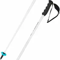 Head Skistok Worldcup SL White-110 cm