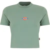 Dickies Shirt 'Maple Valley' geel / groen / rood