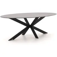 Bellagio + 15% kassakorting | Furato ellips dining tuintafel 240x120cm