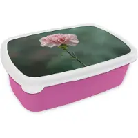MuchoWow Broodtrommel Roze - Lunchbox Anjer - Roze - Bloemblaadjes - Brooddoos 18x12x6 cm - Brood lunch box - Broodtrommels voor kinderen en volwassenen