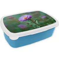MuchoWow Broodtrommel Blauw - Lunchbox Aster - Paars - Bloem - Blaadjes - Brooddoos 18x12x6 cm - Brood lunch box - Broodtrommels voor kinderen en volwassenen