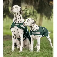 Waldhausen Rain Hondenjas Groen 60 cm