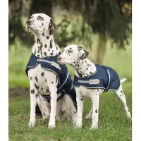 Waldhausen Regendeken Hond Maat 45 cm