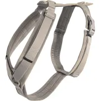 Kentucky Dog Harness Active Velvet